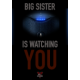 Big Sister Is Watching YOU
